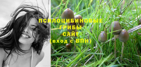mix Заводоуковск