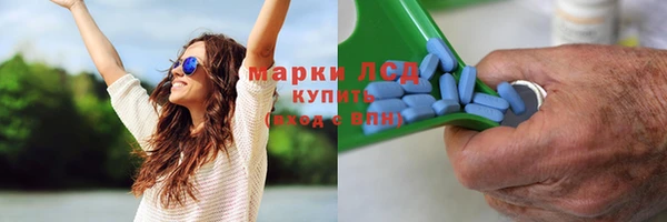 сатива Заволжье