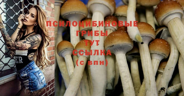гашик Елабуга