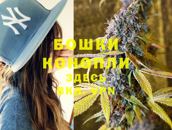 МДМА Ельня