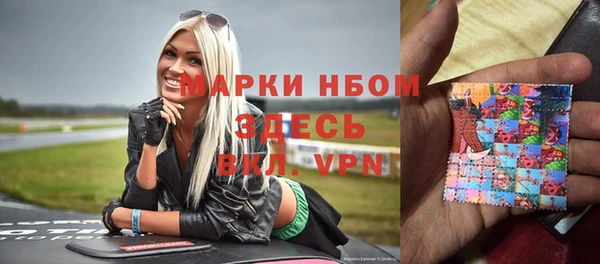 сатива Заволжье