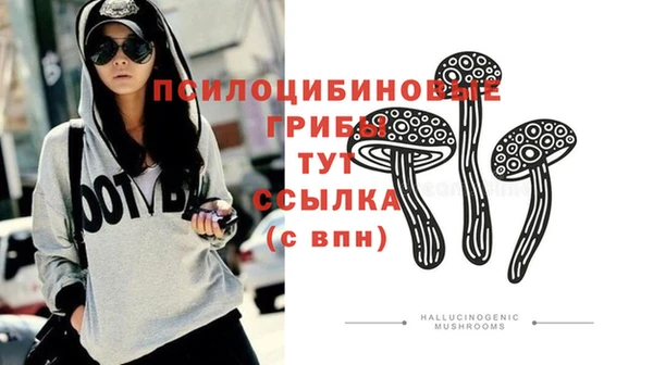 сатива Заволжье