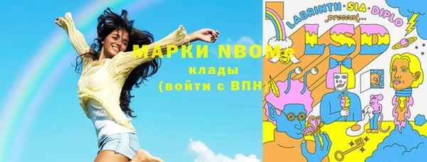 сатива Заволжье