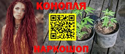 гидра Чебоксары