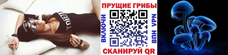 Галлюциногенные грибы MAGIC MUSHROOMS  Купить закладки  Липецк 