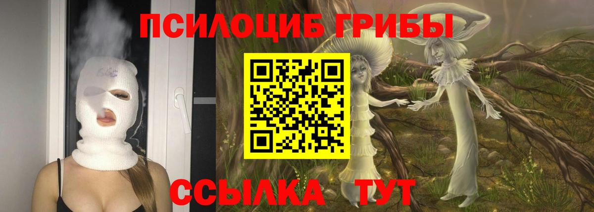 Галлюциногенные грибы Magic Shrooms  Вход с VPN  Псилоцибиновые грибы прущие грибы  Липецк 