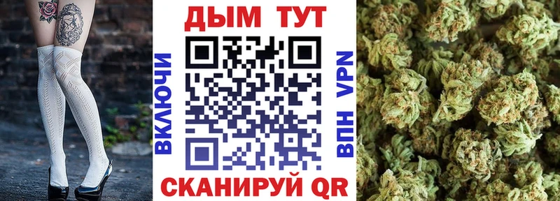 Шишки марихуана сатива  Купить закладки  Липецк 
